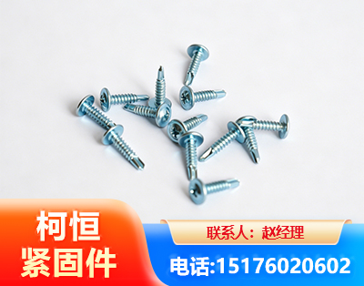 广州华司钻尾丝